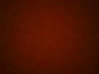 I am a nice and friendly blonde can fulfill all your wishes, do not hesitate to ask!