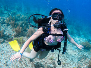 hot webcam slut AliceSampaoli