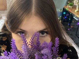 webcampic BrimladFieldhous
